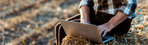 Fotografía panoramic shot of self-employed man typing on laptop while sitting on bale of ha