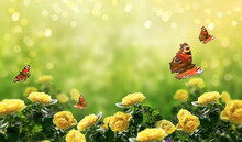 Mysterious Spring Or Summer Bright Background With Many Yellow Fluttering Peacock Eye Butterflies And Blooming Fantasy Yellow Roses Flowers Blossom And Glowing Sparkle Bokeh