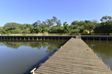 Fototapeta Sypialnia - A beautiful view of Deck Sul Park in Brasilia, Brazil