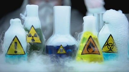 Wall Mural - Marked dangerous liquids evaporating in flasks in front laboratory worker
