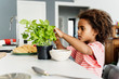 © Westend61 - Girl plucking basil leaves in kitchen
