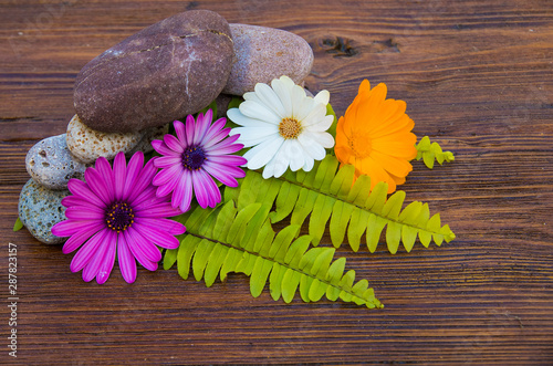 pidras y flores sobre un fondo de madera