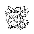Sweater weather is the best weather hand written lettering phrase. T-shirt, card, banner design