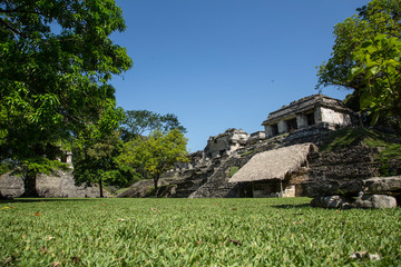 Wall Mural - Temples of Palenque, Unesco's heritage. Yucatan, Mexico