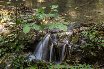 Wall Mural - A few waterfalls before reaching the Palenque temple. Yucatan, Mexico