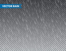 Realistic Rain Texture On Transparent Background. Rainfall, Water Drops Effect. Autumn Wet Rainy Day. Vector Illustration.