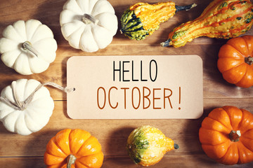 Wall Mural - hello october message with collection of pumpkins on a wooden table