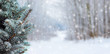 © Volodymyr - Covered with snow branch spruce  on blurred  background during snowfall, copy space. Winter background_