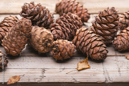 Cuadros en Lienzo Set of cones of Siberian cedar pine on wooden surface