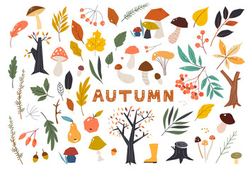 Set of colorful autumn leaves in cartoon style. Seasonal banner. September fall. October party. November sale. Doodle floral elements. Hand drawn vector botany set.