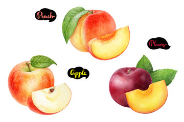 Wall Mural - Apple peach plum set fruit watercolor isolated on white background