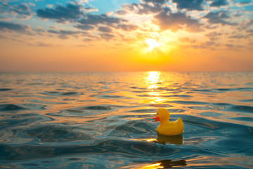 Wall Mural - Yellow rubber duck toy floating in sea water. Beautiful sunrise on the beach.