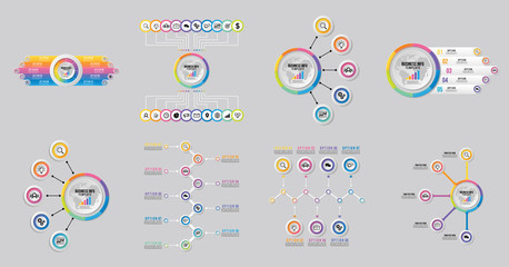 Poster - set of infographics elements vector design template. business data visualization infographics timeli