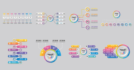 Poster - set of infographics elements vector design template. business data visualization infographics timeli