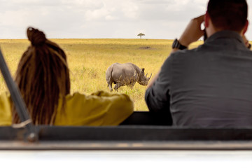 safari concept. tourists in safari car looking at rhinoceros in african savannah. masai mara nationa
