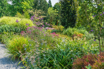 shrubs and flowers 2