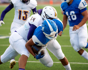 Wall Mural - Action photos of high school football players making amazing plays during a football game