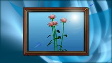Pink Flower In Blue Frame, Animation