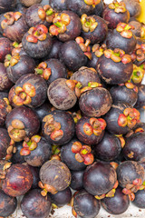 Wall Mural - Mangosteen