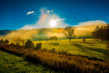 Wall Mural - Mists Rising From The Field