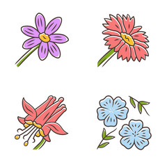 Poster - Wild flowers color icons set. Coreopsis, crimson columbine, blue flax, blanket flower. Blooming wildflowers. Spring blossom. Field, meadow herbaceous plants. Isolated vector illustrations