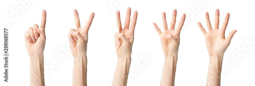 Cuadros en Lienzo collage of human hands and fingers showing numbers one to five