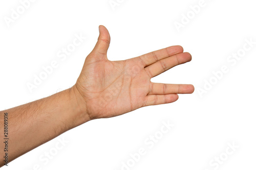 Cuadros en Lienzo Live long and prosper Vulcan greeting salute famous gesture from fictional character
