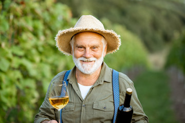 Portrait of a happy senior well-dressed winemaker checking wine quality, standing with wine glass and bottle on the vineyard