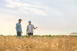 © Pixel-Shot - Male farmers working in wheat field