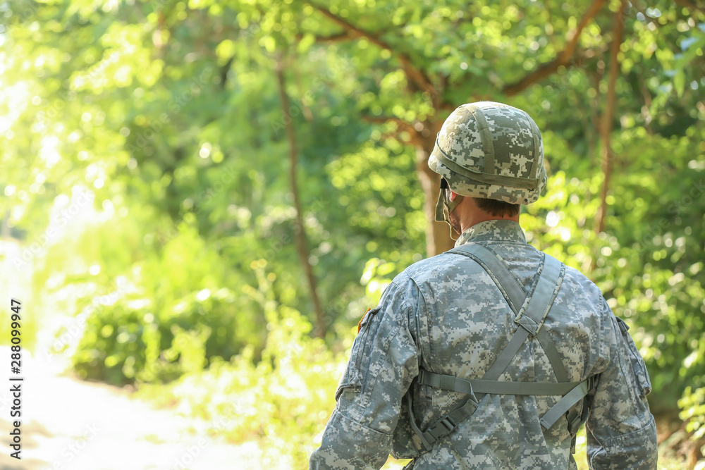 Male soldier in camouflage outdoors, back view