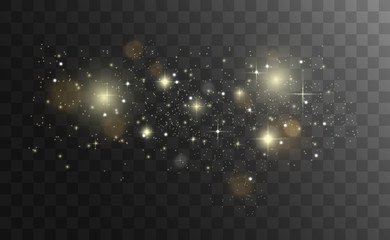 Wall Mural - gold sparks glitter special light effect. vector sparkles on transparent background. christmas abstr