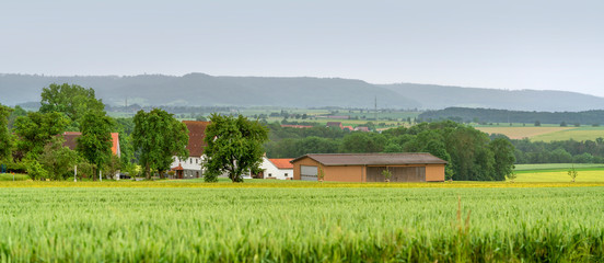 Wall Mural - rural scenery in Hohenlohe