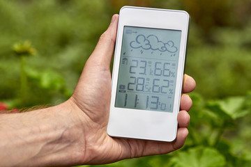 Wall Mural - Best personal weather station device with weather conditions inside and outside. A man holds a gadget in her hand on a background of green foliage.