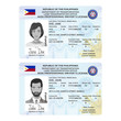Vector template of sample driver license plastic card for Philippines