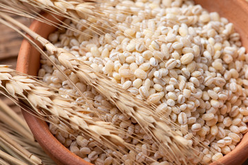 Wall Mural - Raw peeled barley grains  (Hordeum vulgare)