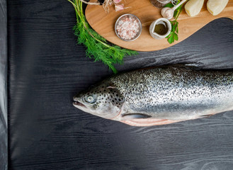 Wall Mural - Fresh raw salmon red fish with spices, lemon, pepper, herbs on dark stone background. Creative layout made of fish, top view, flat lay