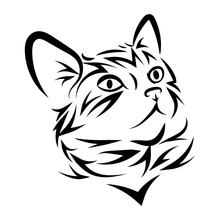 Portrait Of A Cat. Cute Kitten. Black White Illustration Of A Cat. Stylized Pet. Cat Head Tattoo.