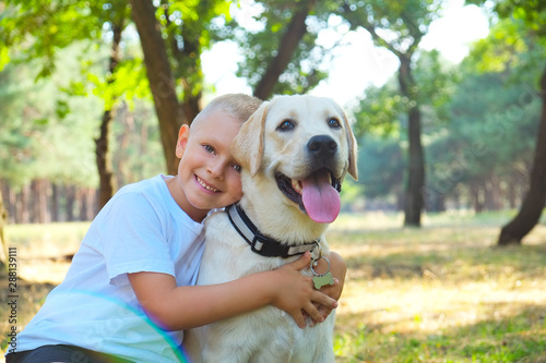 Portrait of cute blond boy hanging out with his pet friend labrador retriever out in the woods Tableau sur Toile