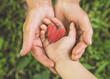 © Анастасія Стягайло - Childs hand and old hand grandmother hold heart. Concept idea of love family protecting children and elderly people grandmother friendship togetherness relationship Two generation.
