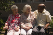© WavebreakMediaMicro - Front view of senior friends interacting with each other in garden