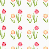 Fototapeta Tulipany - seamless pattern with tulips