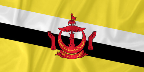 Wall Mural - Brunei waving flag