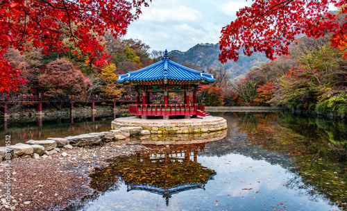 Cuadros en Lienzo naejangsan mountain in autumn south korea