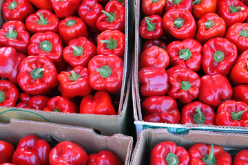 Wall Mural - Top view of heap of fresh ripe red bell peppers with green stem