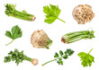 various roots and greens of celeriac and celery