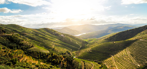 douro valley 