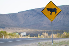 Donkey Or Ass Crossing Sign Along Highway In American Southwest.