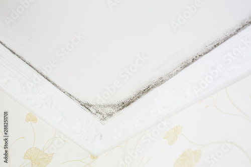 Black Mold On The Ceiling Of The Room Buy This Stock Photo