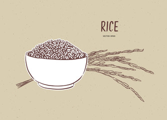 Wall Mural - Rice vector in bowl with rice branch. hand draw sketch vector.