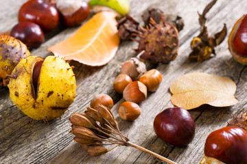 Canvas Print - fallen autumn growths and leaves on worn wooden